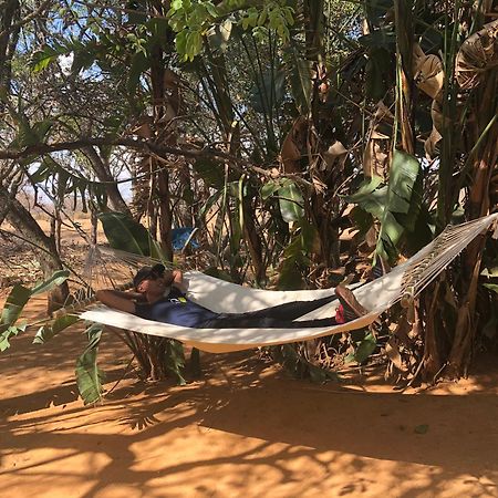 Honeyguide Ranger Camp Hotel Golders Green Buitenkant foto
