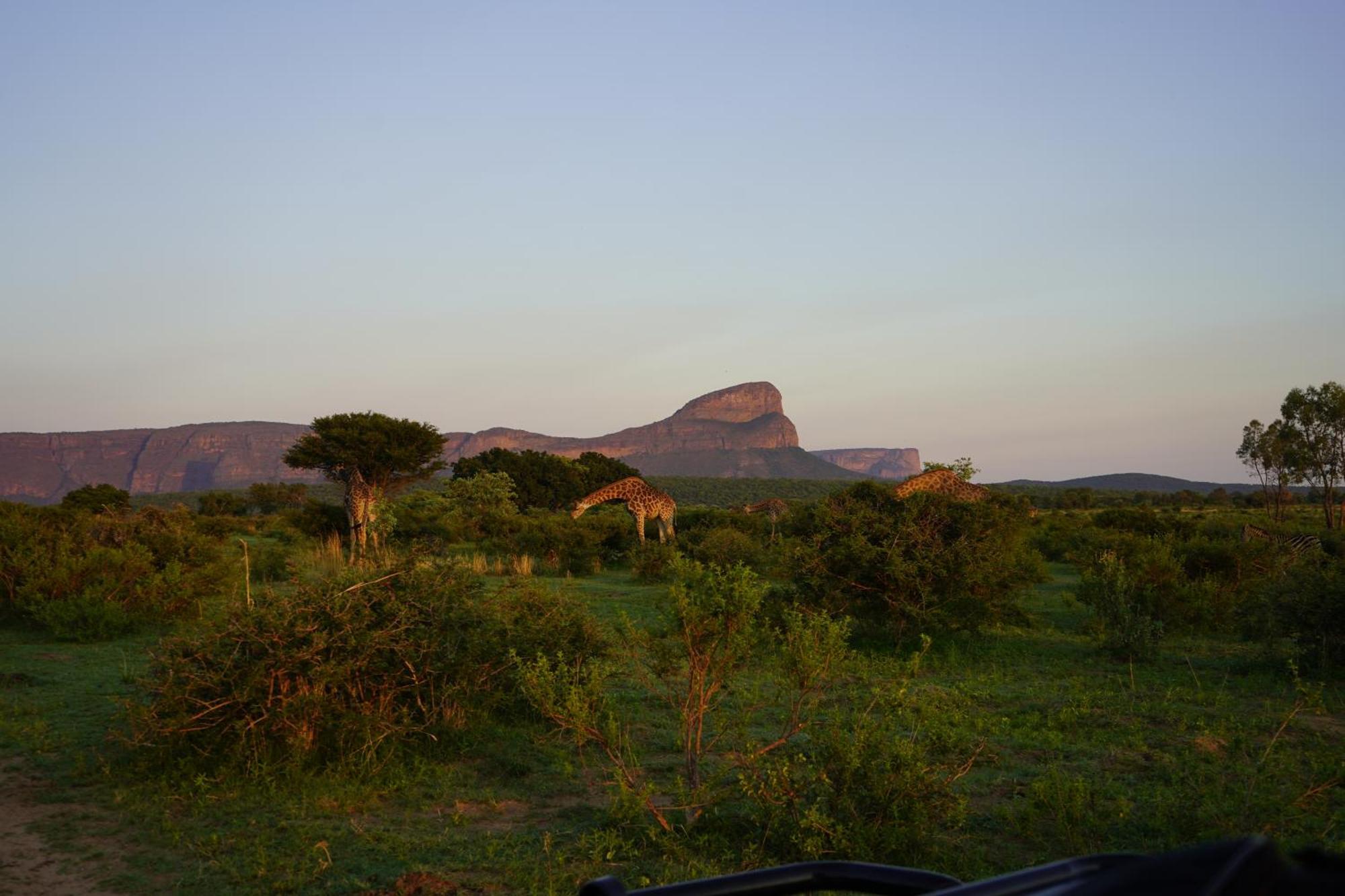 Honeyguide Ranger Camp Hotel Golders Green Buitenkant foto