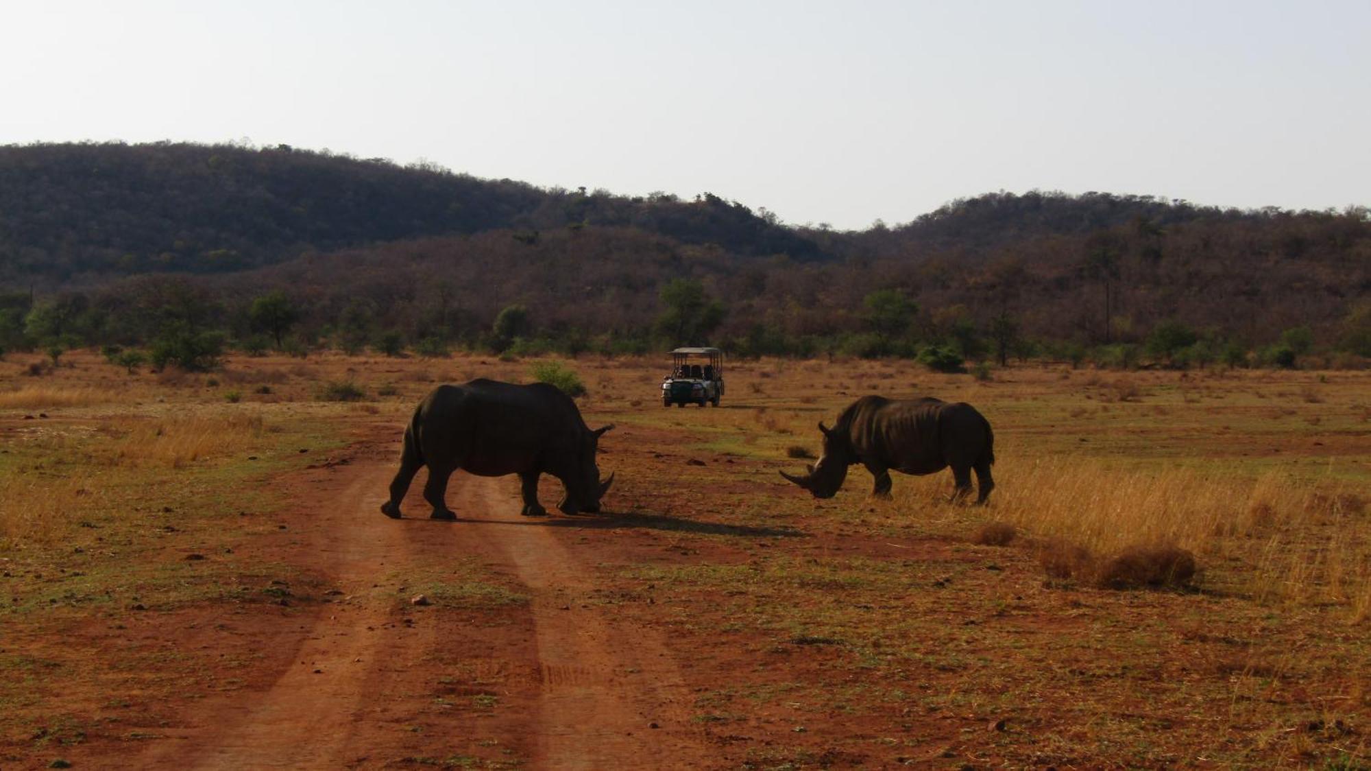 Honeyguide Ranger Camp Hotel Golders Green Buitenkant foto