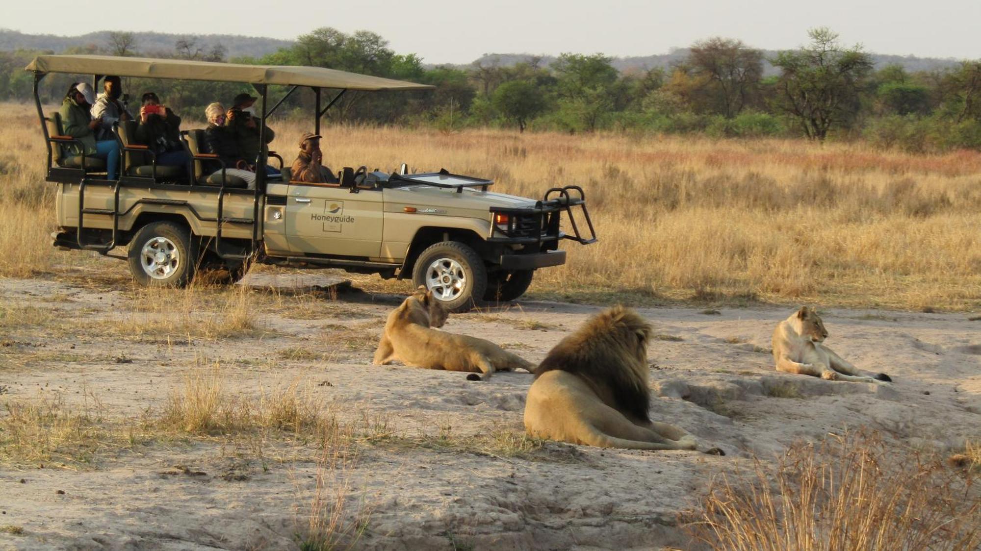 Honeyguide Ranger Camp Hotel Golders Green Buitenkant foto