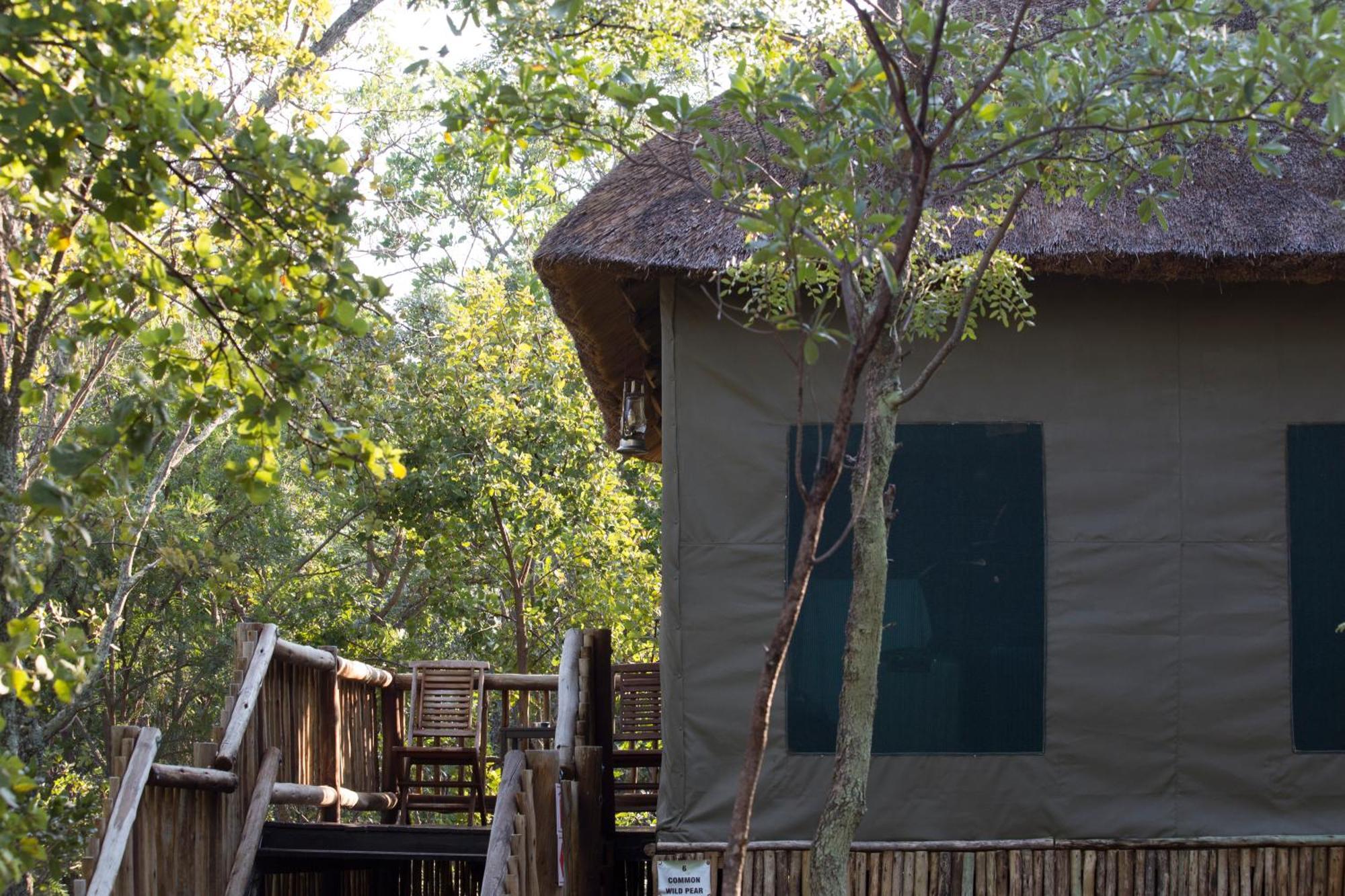 Honeyguide Ranger Camp Hotel Golders Green Kamer foto