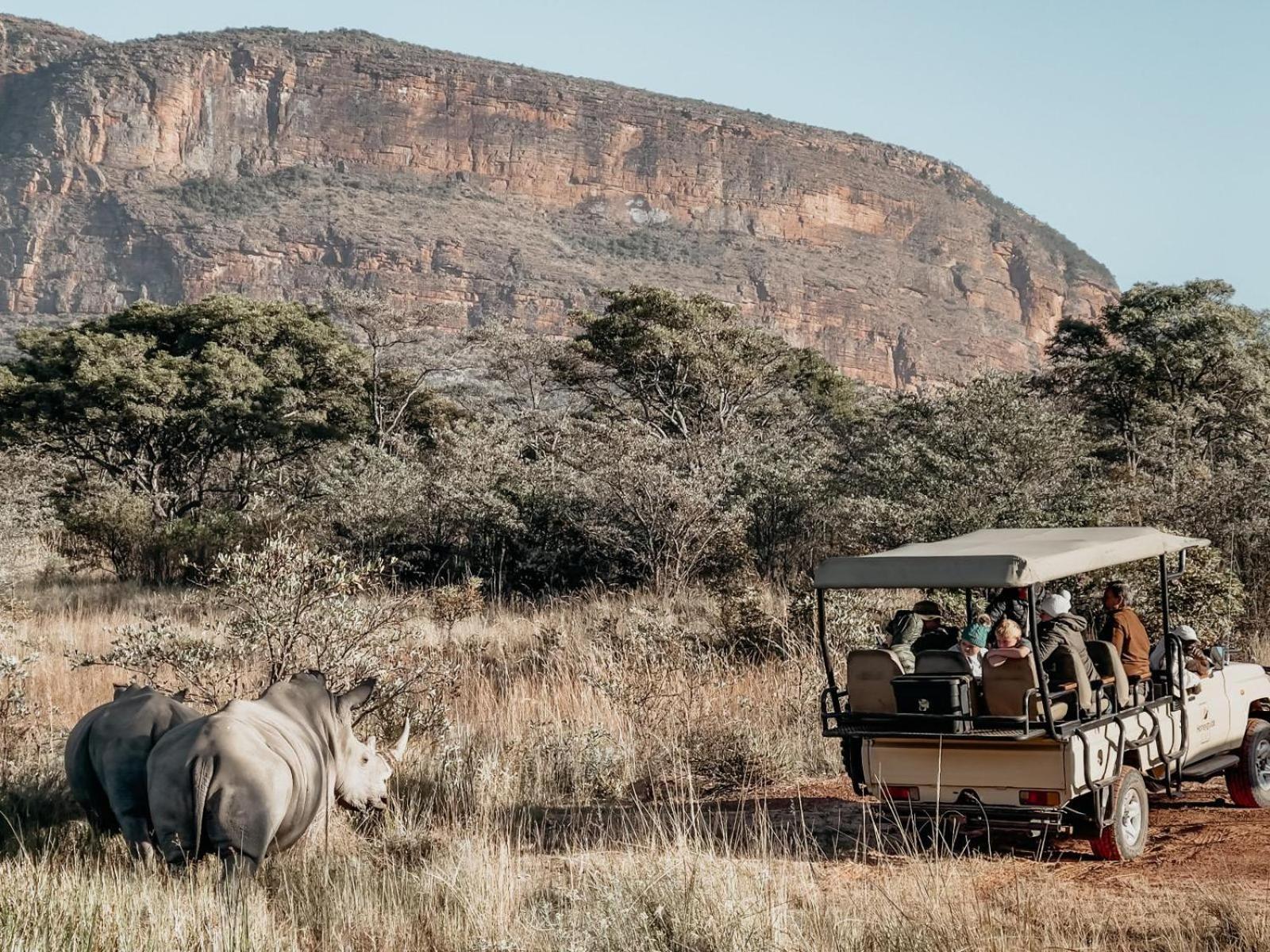 Honeyguide Ranger Camp Hotel Golders Green Buitenkant foto