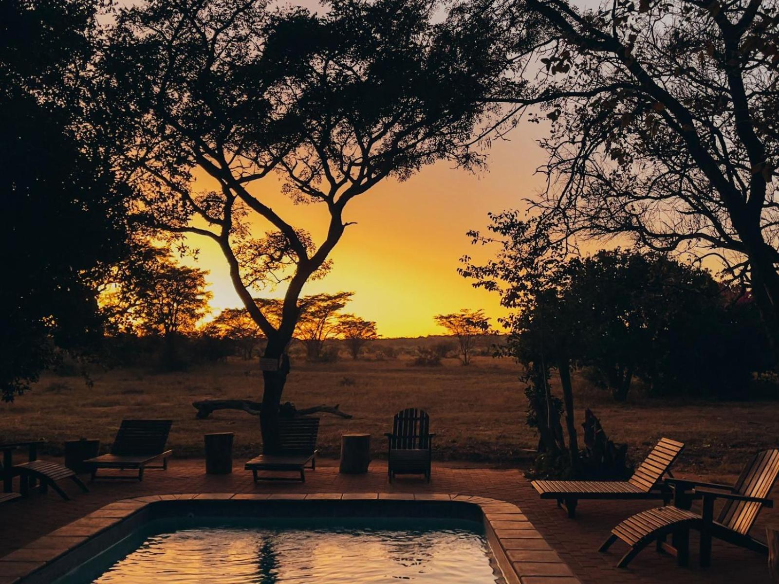 Honeyguide Ranger Camp Hotel Golders Green Buitenkant foto